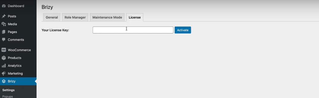 Workspaces and Projects in Brizy Cloud
